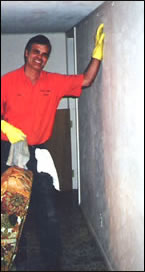 Bob washing a wall